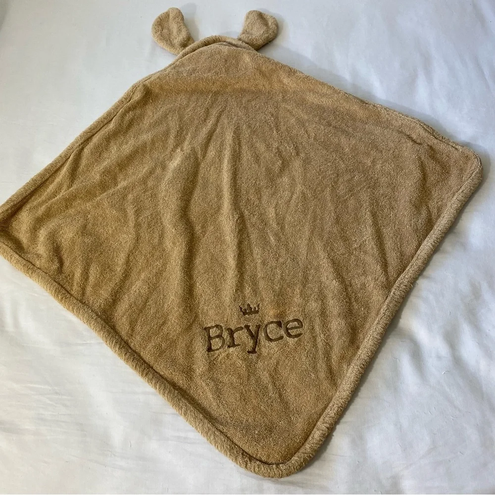 Restoration Hardware Baby and Child Brown Dog Hooded Towel Baby Bryce